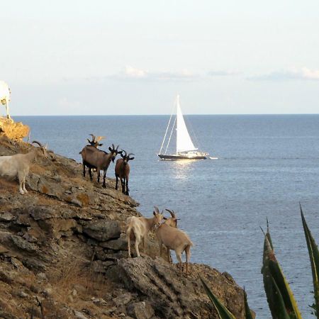 Isola D'Elba Come In Barca, A Un Tuffo Dal Mare Capoliveri  Luaran gambar